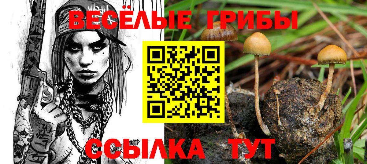 Саяногорск  Галлюциногенные грибы прущие грибы  Псилоцибиновые грибы Psilocybe  Вход с VPN 