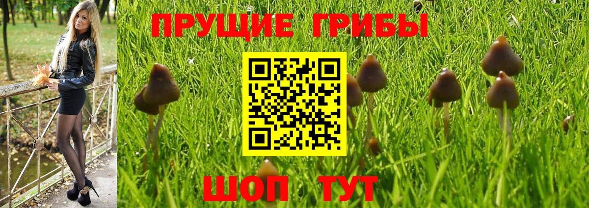 Галлюциногенные грибы MAGIC MUSHROOMS Саяногорск